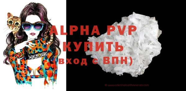 индика Арсеньев