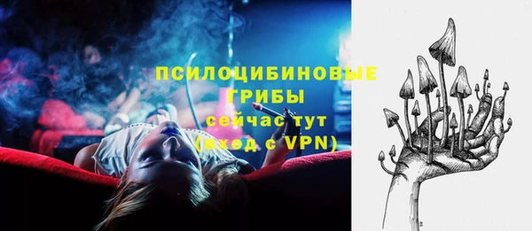ешки Аркадак