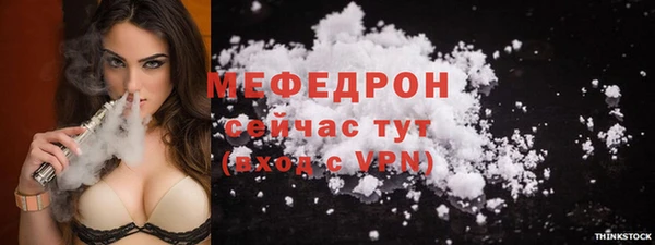 индика Арсеньев