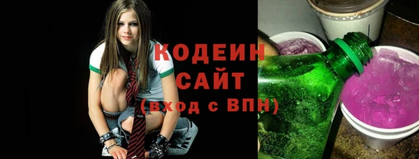 индика Арсеньев