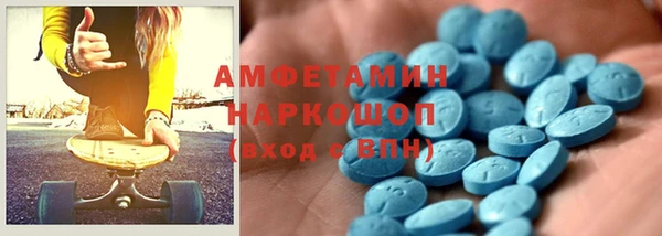 индика Арсеньев