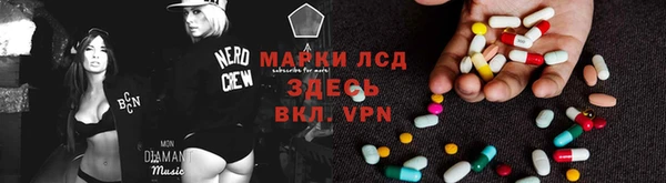 индика Арсеньев
