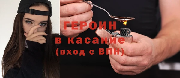 индика Арсеньев