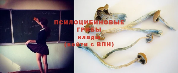 индика Арсеньев