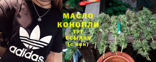 индика Арсеньев